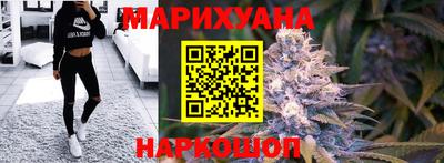 шишки Заволжье