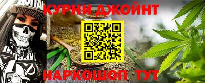 шишки Заволжье