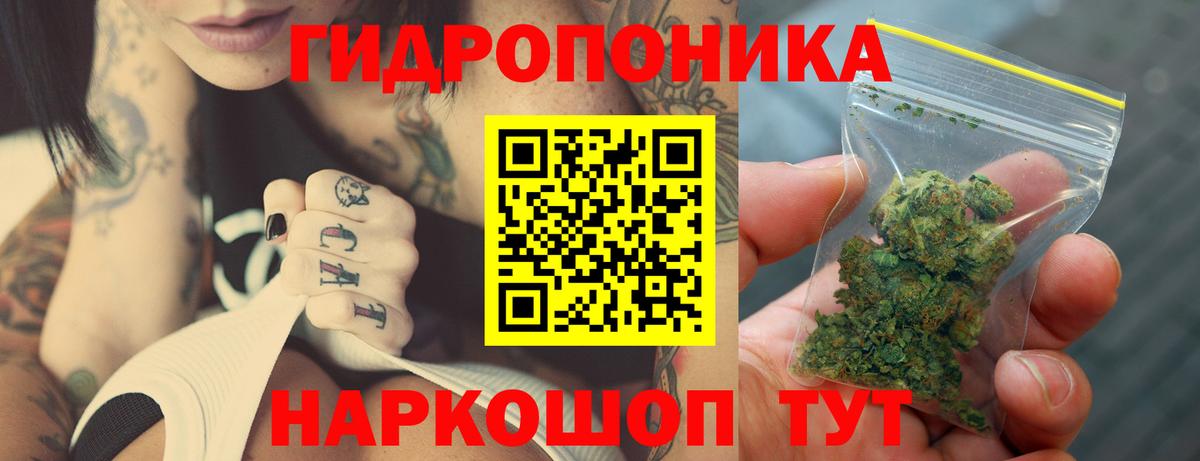Бошки Шишки семена Коркино